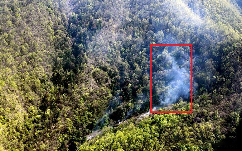 Forest Fire Prevention